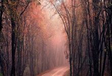 [国内足球]鲍亚雄失误送点 奥斯卡主罚轻松打进.