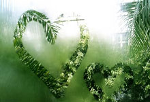 [田径]严子怡改写女子标枪世界青年纪录.