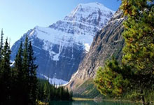 内讧!德泽尔比与队员爆发激烈冲突 主帅罢工球员罢训.