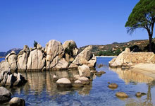 上场 | 决胜时刻连得9分,把周琦打成背景板,这一夜他不再是王奶奶.